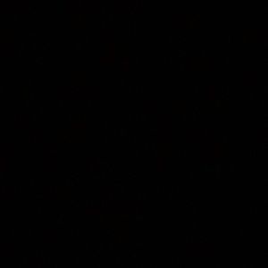 Meet your Posher, Logan